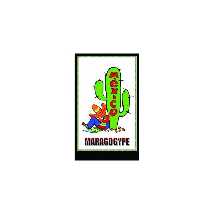 Кофе в зёрнах Мексика МАРАГОДЖИП, 200 г